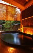 Туры в отель Nishimuraya Hotel Shogetsutei