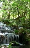 Туры в отель Nishimuraya Hotel Shogetsutei