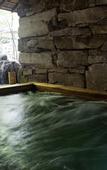 Туры в отель Nishimuraya Hotel Shogetsutei