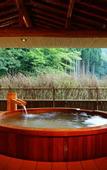 Туры в отель Nishimuraya Hotel Shogetsutei