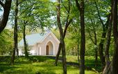 Туры в отель Mercure Miyagi Zao Resort & Spa