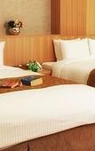 Туры в отель Ulsan City Hotel