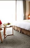 Туры в отель Ulsan City Hotel