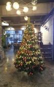 Туры в отель Nine Boutique Hotel