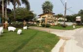 Туры в отель Palm Sweet Resort