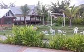 Туры в отель Pai Iyara Resort