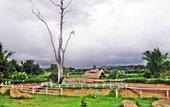 Туры в отель Pai Iyara Resort