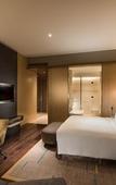 Туры в отель Conrad Pune by Hilton