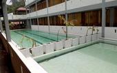 Туры в отель Joe Fisherman Inn