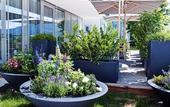 Туры в отель Eco Suite Hotel