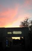 Туры в отель Hotel Cocoa