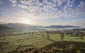 Туры в отель Banyan Tree Huangshan