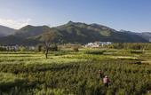 Туры в отель Banyan Tree Huangshan