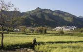 Туры в отель Banyan Tree Huangshan