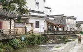 Туры в отель Banyan Tree Huangshan