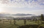 Туры в отель Banyan Tree Huangshan