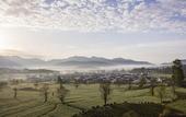 Туры в отель Banyan Tree Huangshan