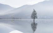 Туры в отель Banyan Tree Huangshan