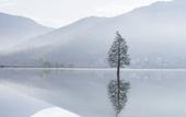 Туры в отель Banyan Tree Huangshan