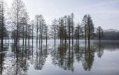 Туры в отель Banyan Tree Huangshan