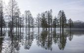 Туры в отель Banyan Tree Huangshan