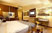 Туры в отель Premier Inn Sakarya
