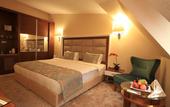 Туры в отель Premier Inn Sakarya