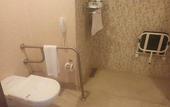 Туры в отель Premier Inn Sakarya