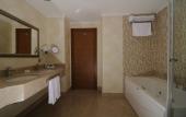 Туры в отель Premier Inn Sakarya