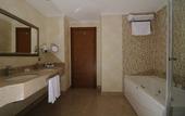 Туры в отель Premier Inn Sakarya