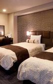 Туры в отель Kuretake Inn Premium Shizuokaekimae