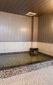 Туры в отель Kuretake Inn Premium Shizuokaekimae