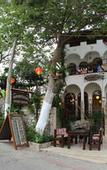 Туры в отель Boomerang Guesthouse