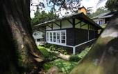 Туры в отель Puncak Pass Resort