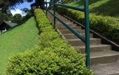 Туры в отель Puncak Pass Resort