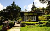 Туры в отель Puncak Pass Resort