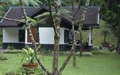 Туры в отель Puncak Pass Resort
