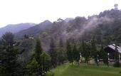 Туры в отель Puncak Pass Resort
