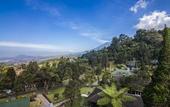Туры в отель Puncak Pass Resort