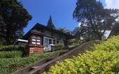 Туры в отель Puncak Pass Resort