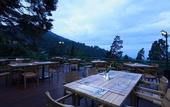 Туры в отель Puncak Pass Resort