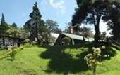 Туры в отель Puncak Pass Resort