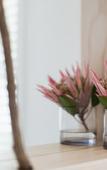 Туры в отель Amanzi Island Boutique Hotel