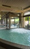 Туры в отель Fujisan Onsen Hotel Kaneyamaen