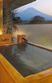 Туры в отель Fujisan Onsen Hotel Kaneyamaen