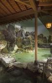 Туры в отель Fujisan Onsen Hotel Kaneyamaen