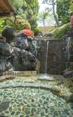 Туры в отель Fujisan Onsen Hotel Kaneyamaen