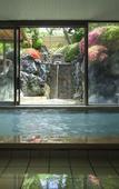 Туры в отель Fujisan Onsen Hotel Kaneyamaen