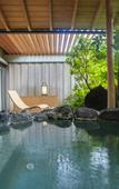 Туры в отель Fujisan Onsen Hotel Kaneyamaen