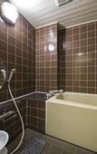 Туры в отель Fujisan Onsen Hotel Kaneyamaen